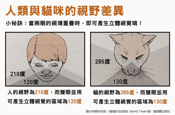 猫咪眼中的世界长怎麽样呢科普中级