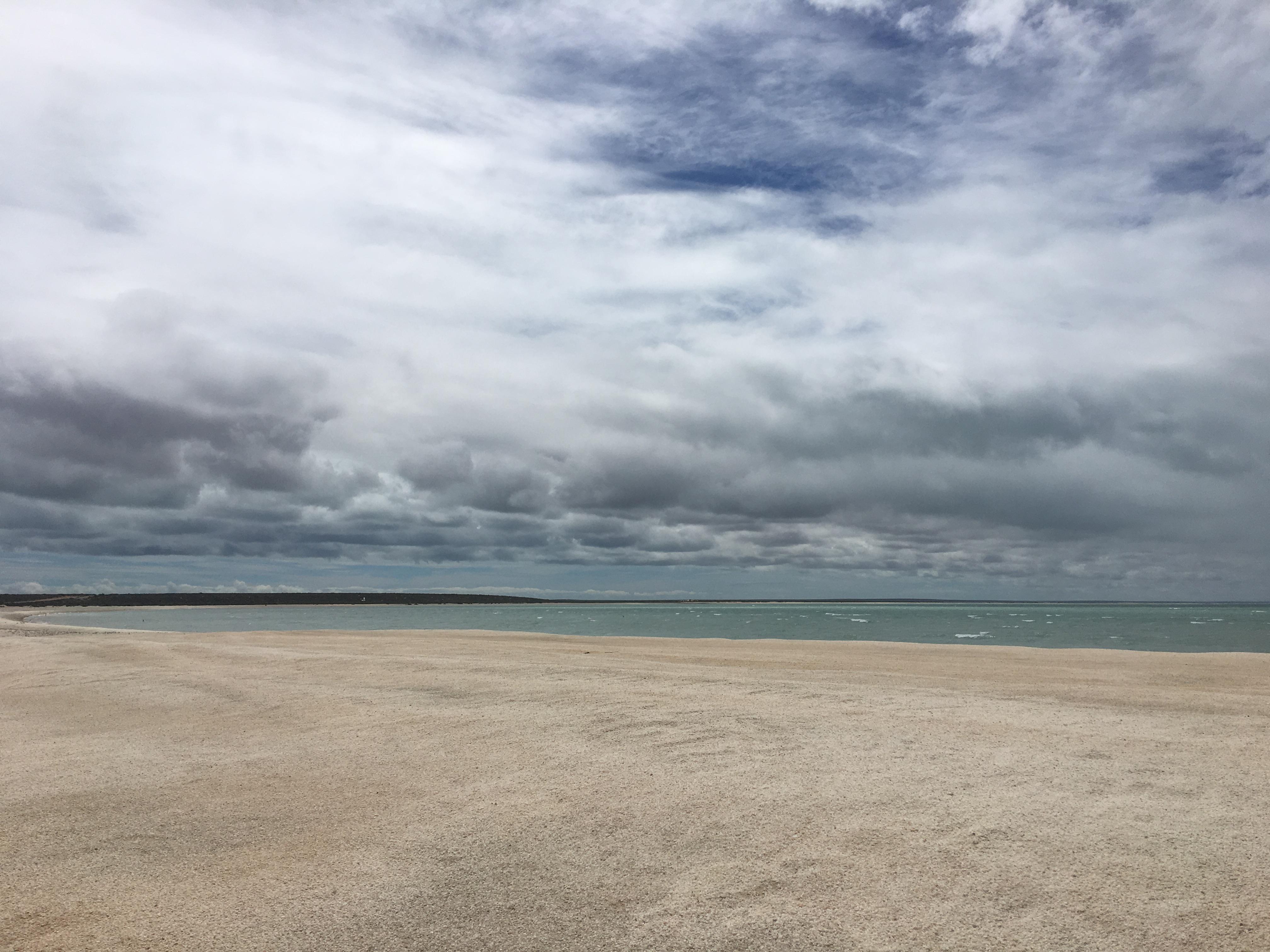 澳大利亚打工度假签证申请条件是什么,是否值