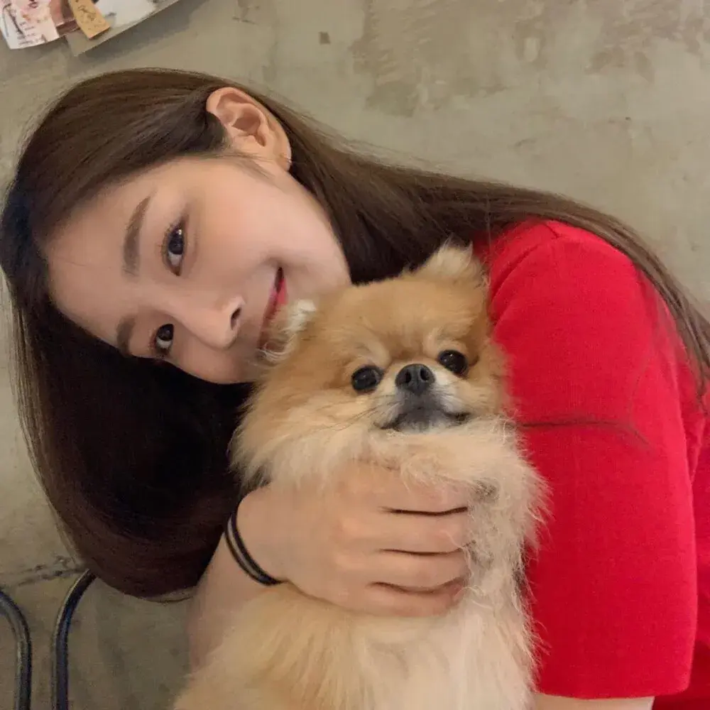 看起来很不好惹,很高冷的女生头像 - 知乎