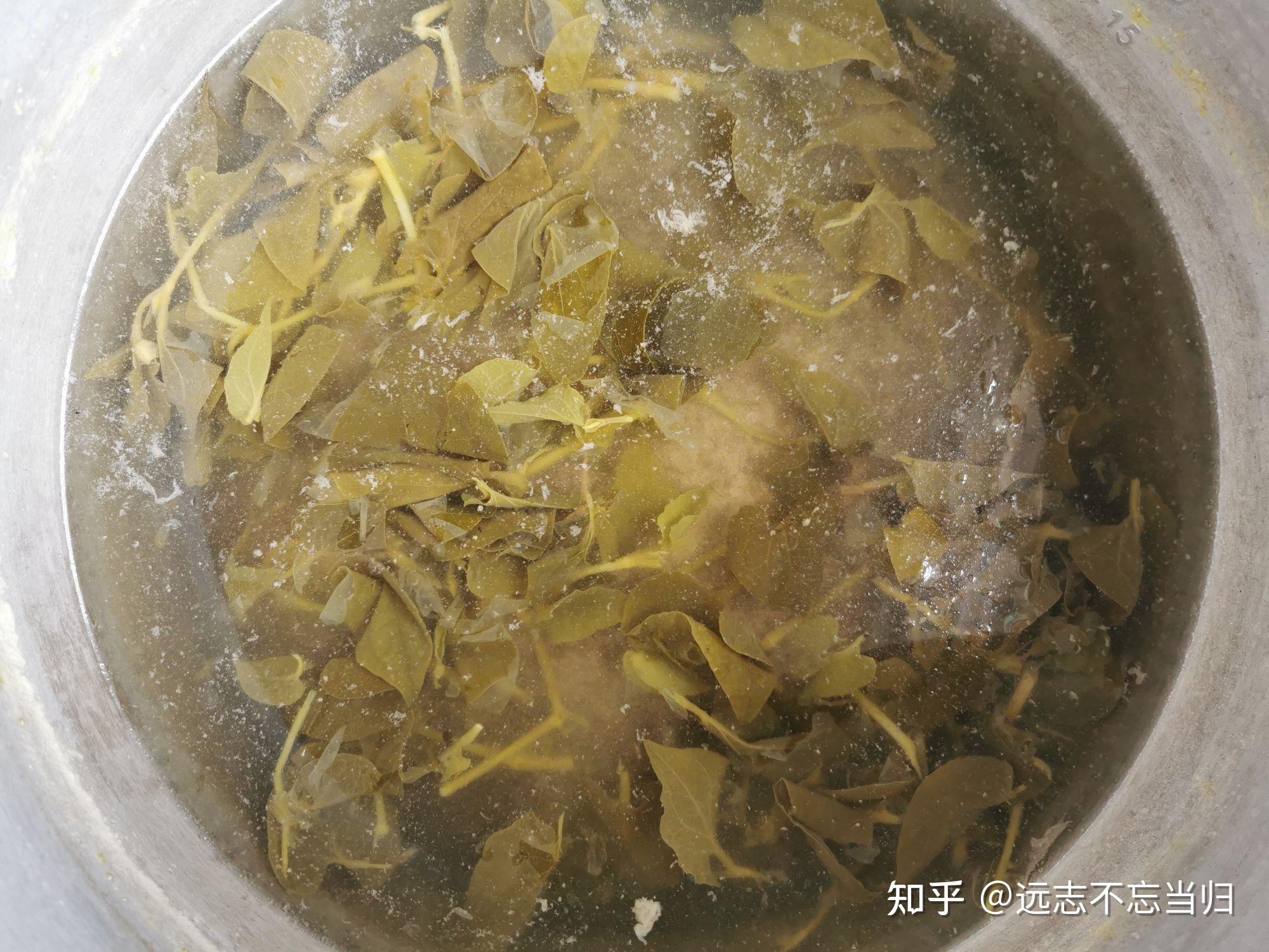 試試這藥膳,魚腥草煲豬肺:清熱化痰止咳 - 知乎