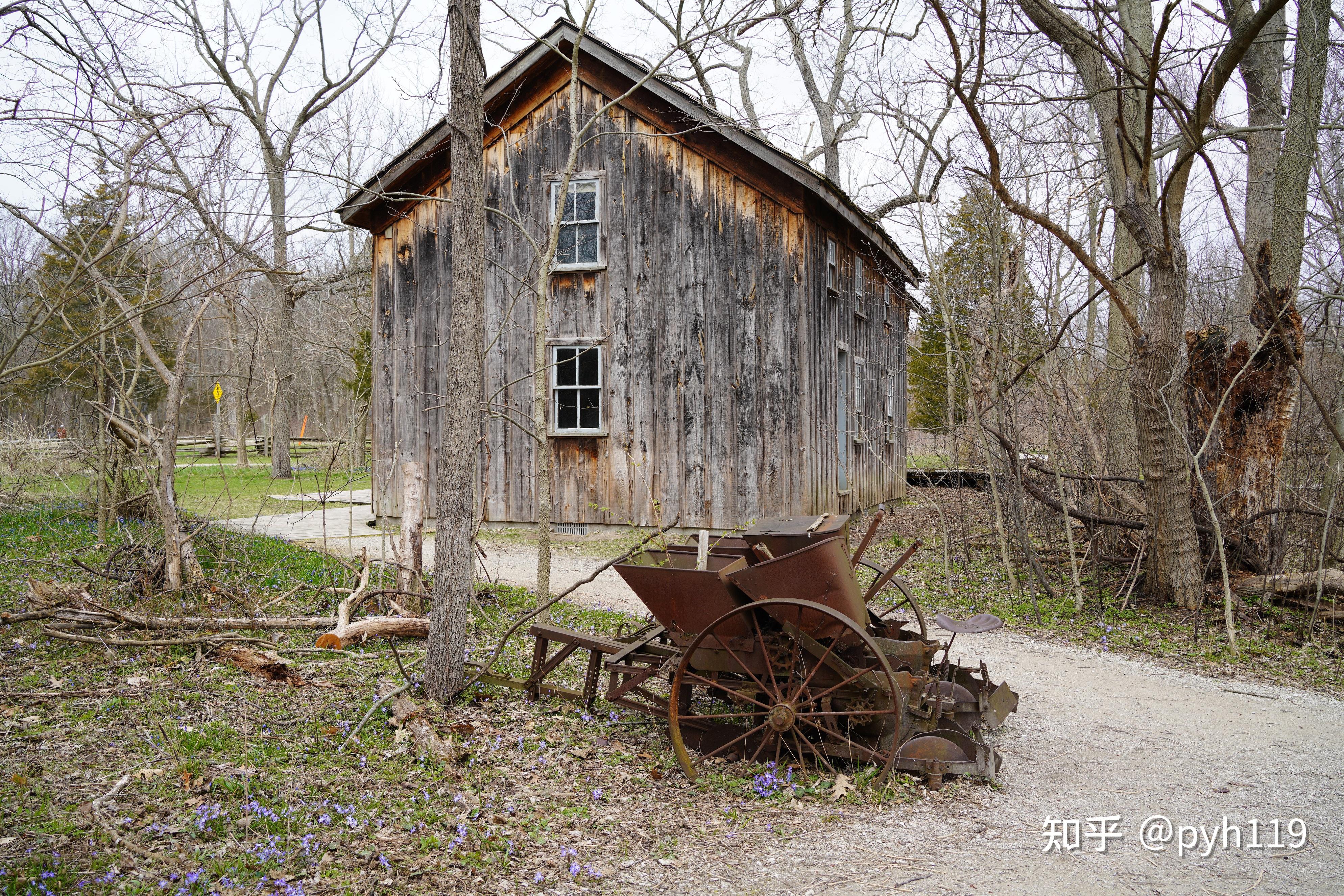 绿水湖畔的黑沼泽皮利角国家公园