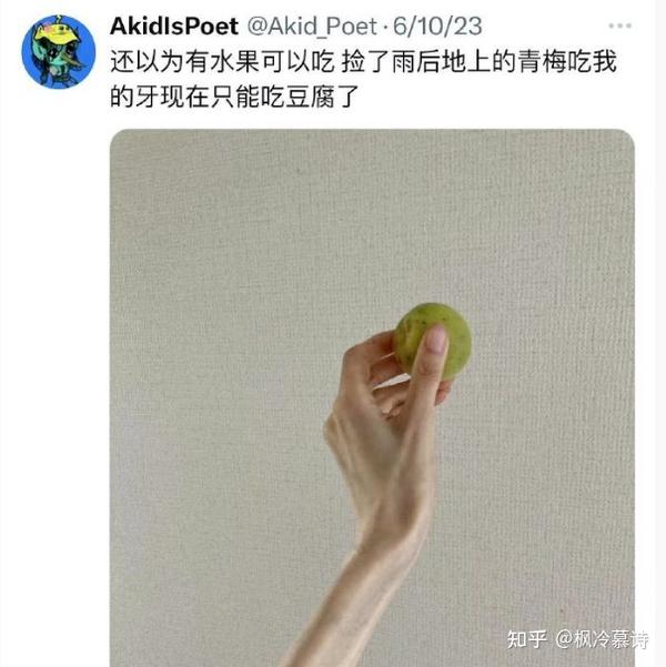大象公会成员王懿在日本饿死,真相刷新了所有人的认知 - 知乎