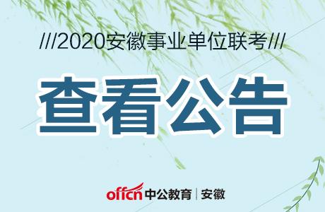 桐城招聘_桐城市已复工企业招聘信息(3)