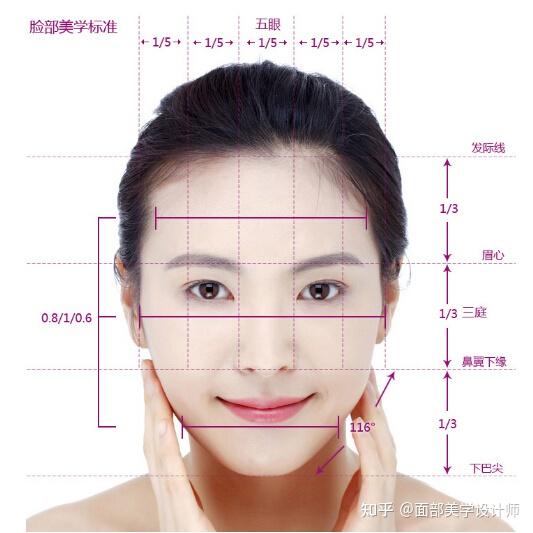 面部美学标准 - 知乎