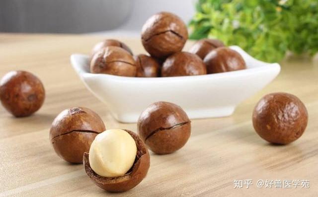 坚果都包括哪些果实 v2-35c6f3f9890dd72f924f4d4faeade8b7_r.jpg