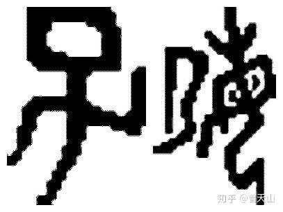 v2-35c8a84dc74e5409946d362b72f91867_b.jpg