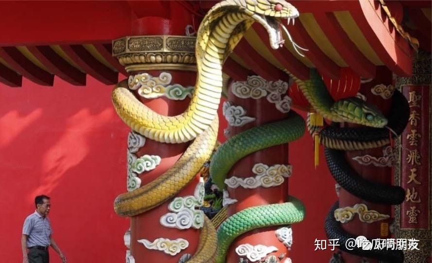 北顶娘娘庙事件蛇图图片