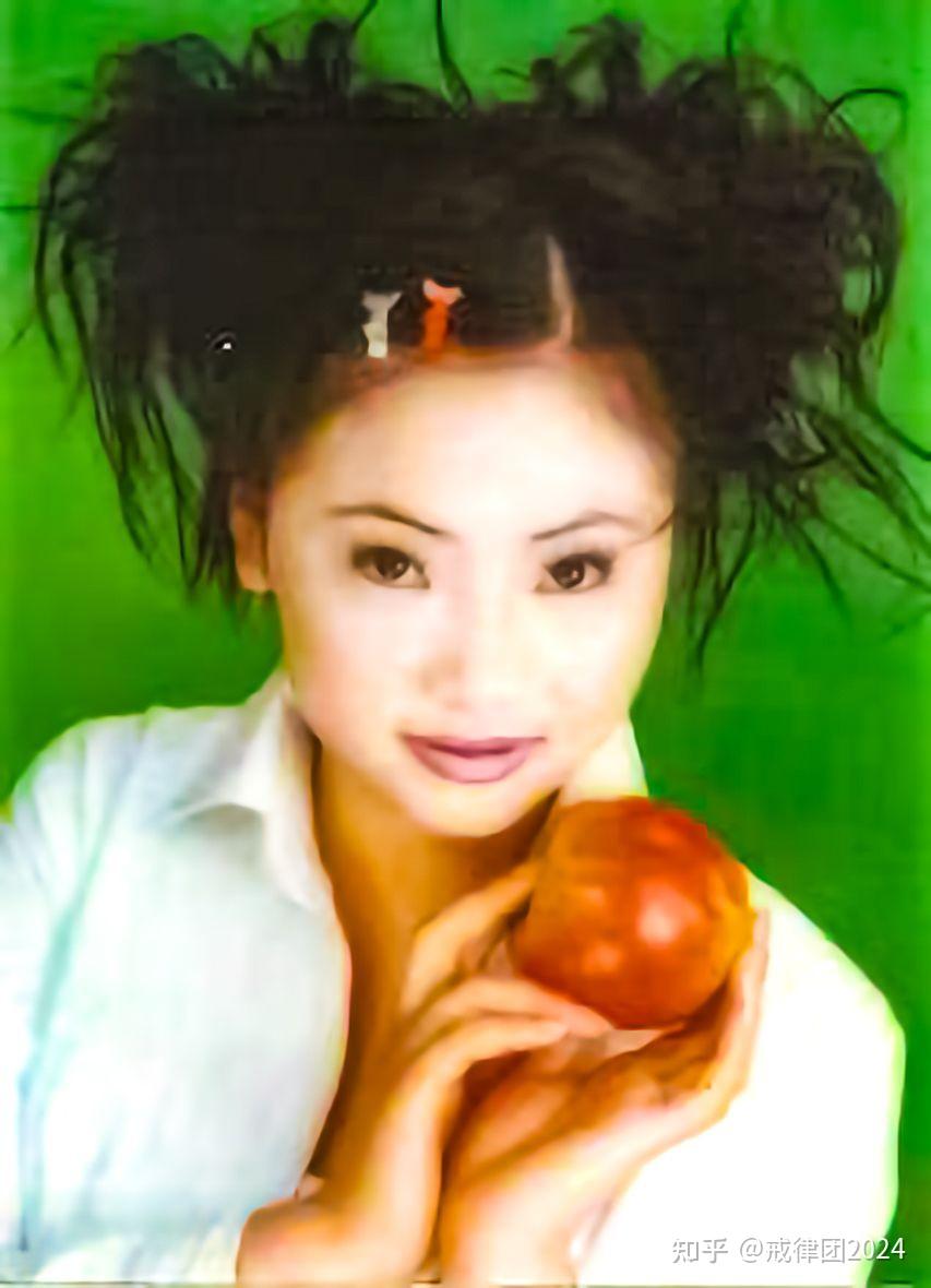 戒律团2024年度黑龙江电视台和河南电视台女明星主持人排名保护家园