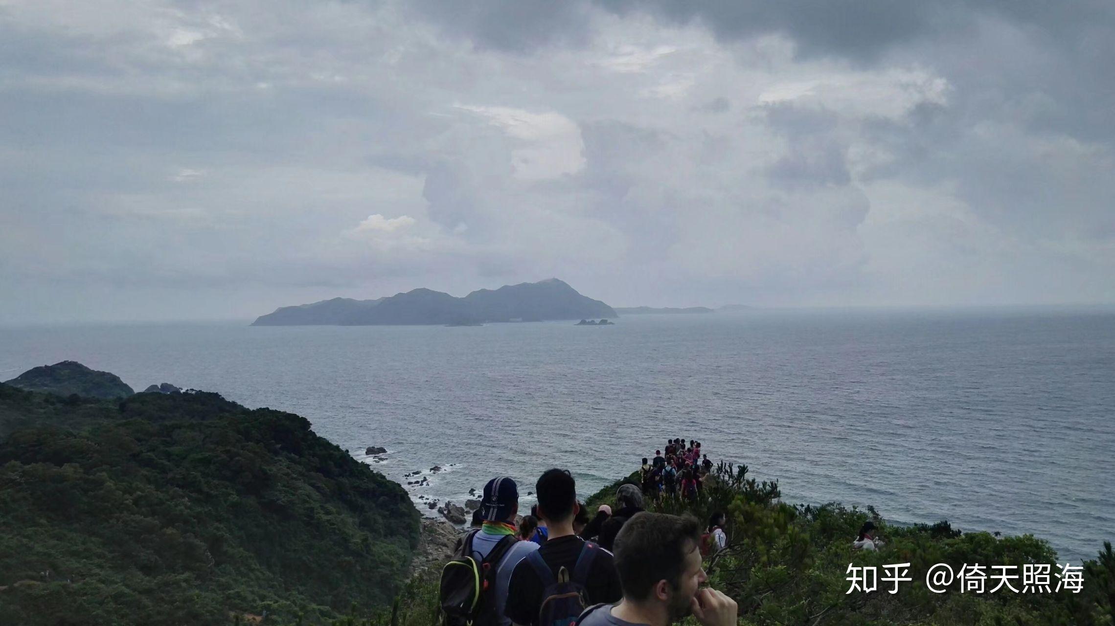 大王椰树生长要求是什么