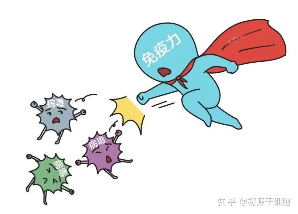 免疫系统三大功能:(一)免疫监视