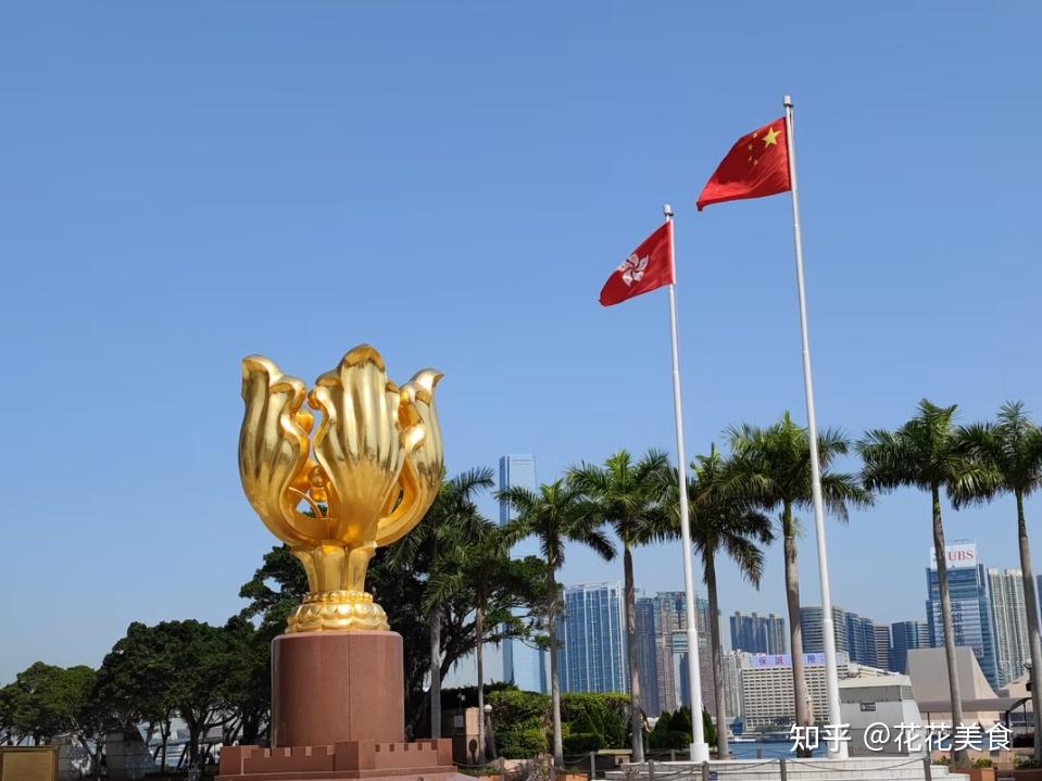 【庆祝香港回归】南国瑰宝紫荆花 - 知乎
