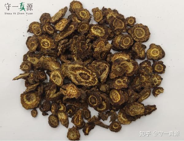 中药鉴定 | 处境尴尬的羌活 - 知乎