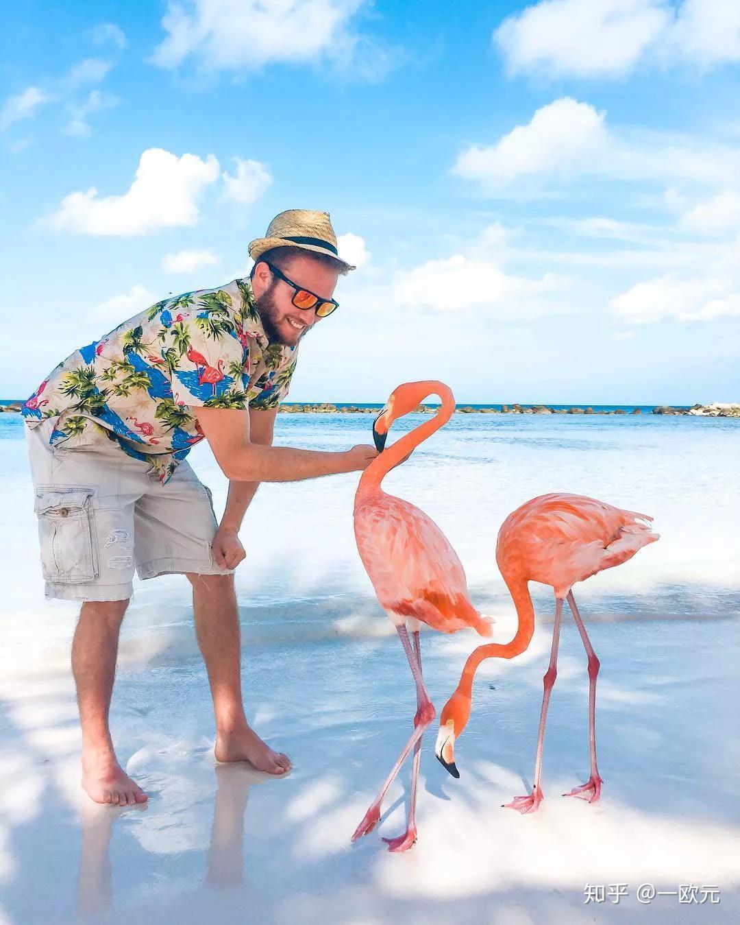 阿鲁巴一张照片让你成为今夏朋友圈人气女王