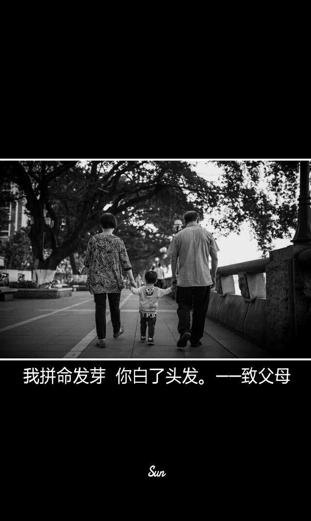 父母在人生尚有来处父母去人生只剩归途