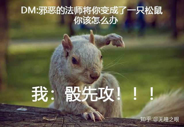 有没有关于dnd跑团的表情包