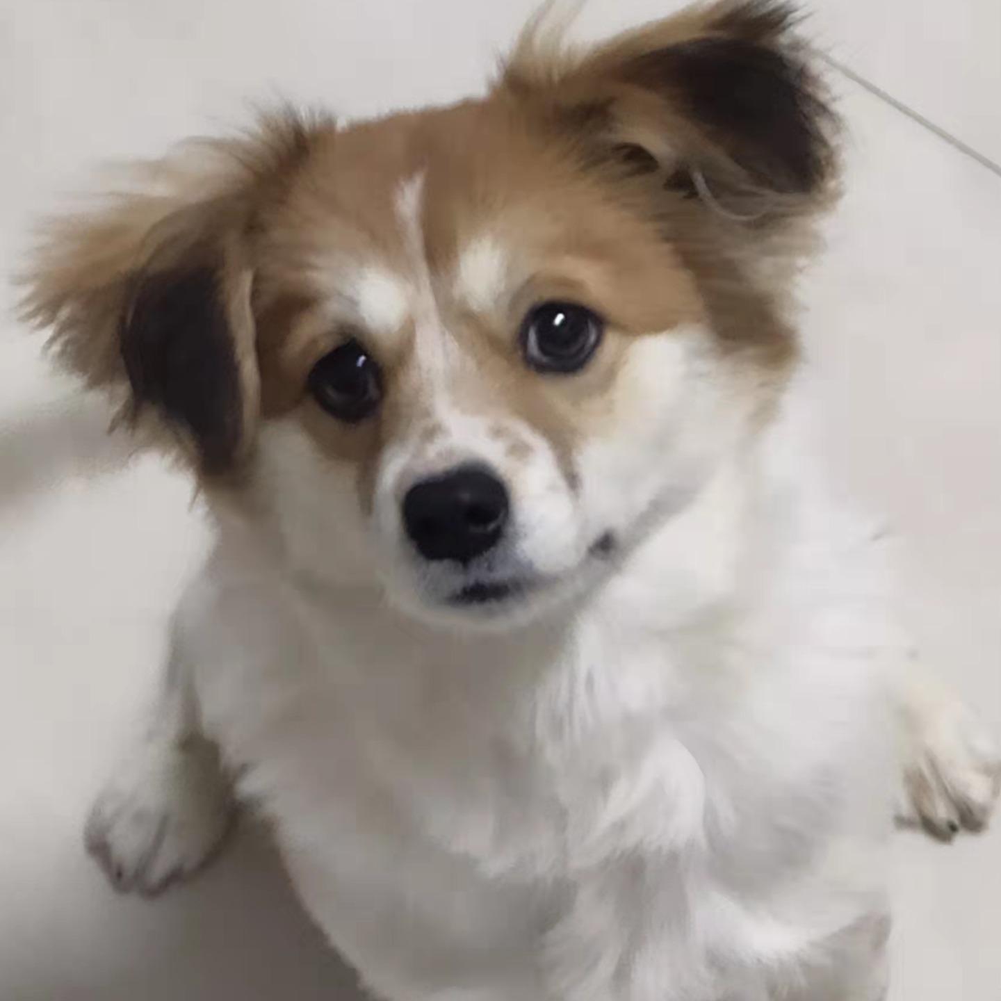 没错就是我
