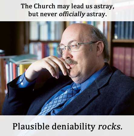 托福满分词abundantplausible