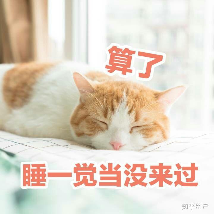 2018高考考砸,是复读好还是上二本?
