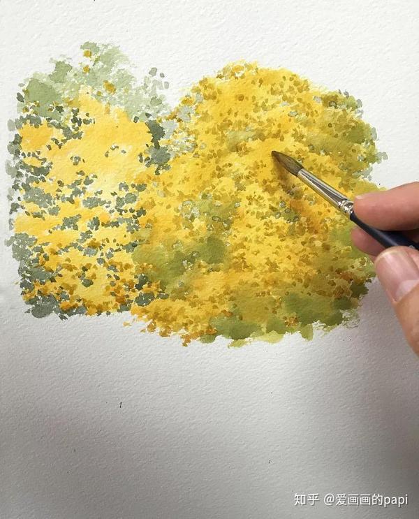 推荐】水彩画自学教程|水彩画电子书下载- 知乎