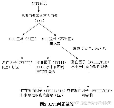 血友病的基因檢測