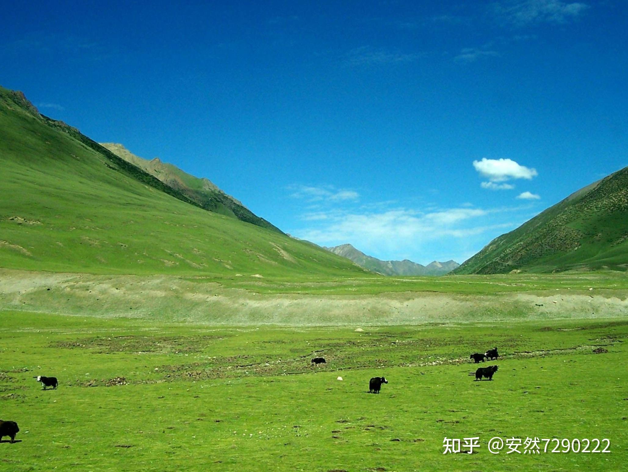 9,藏北大草原风光