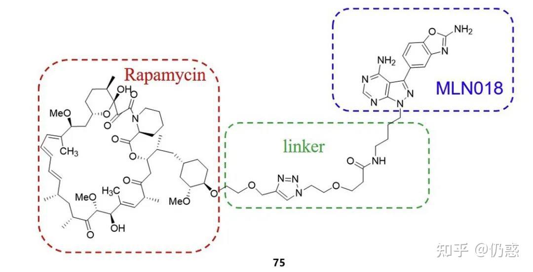 三,mtor小分子抑制剂