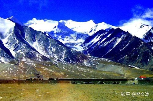 极品单花蜜她放弃了教师的身份把家搬到荒无人烟的诺木洪用12年的时间