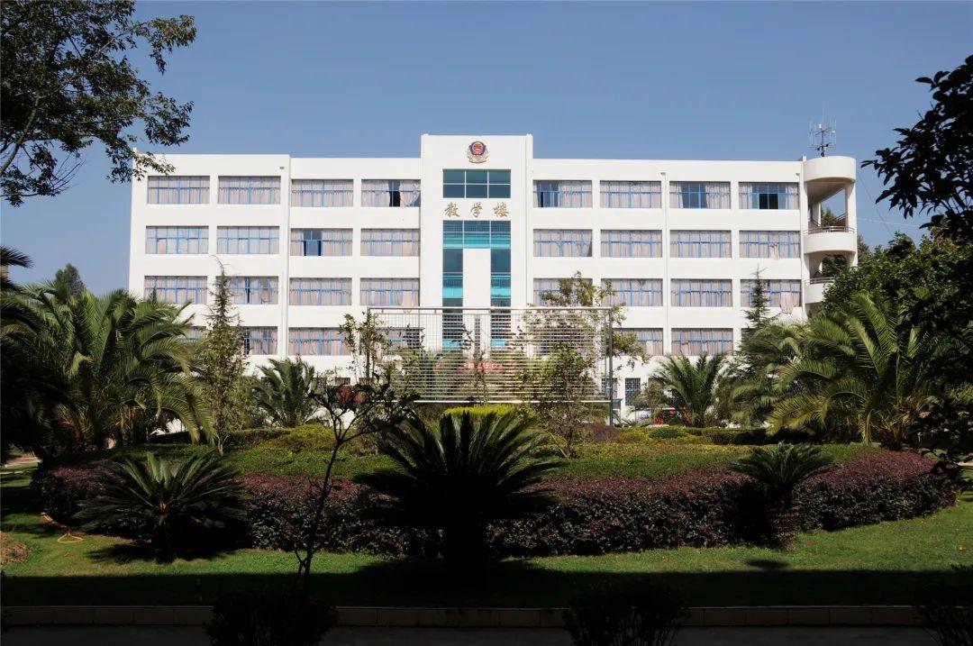 v2-368ede441ecd890f7c7db6555ccd98dd_1440w.jpg?source=172ae18b