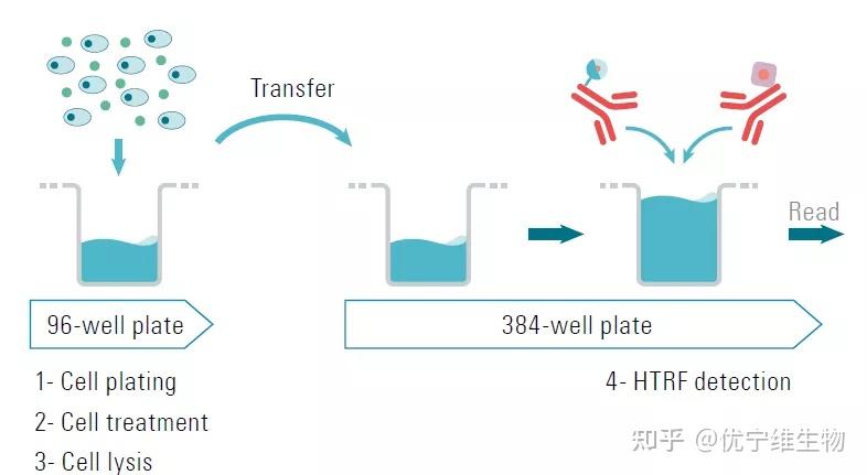 htrf测定总磷特异性