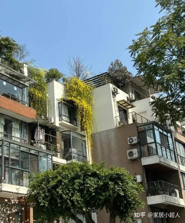 为什么有钱人开始偷偷收购“步梯房”?内行人说出实情,涨知识了 - 知乎