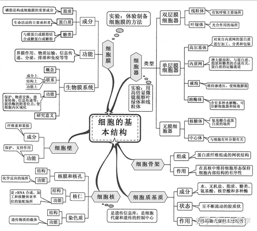 学霸整理高中生物最全思维导图重难点一目了然不看绝对可惜
