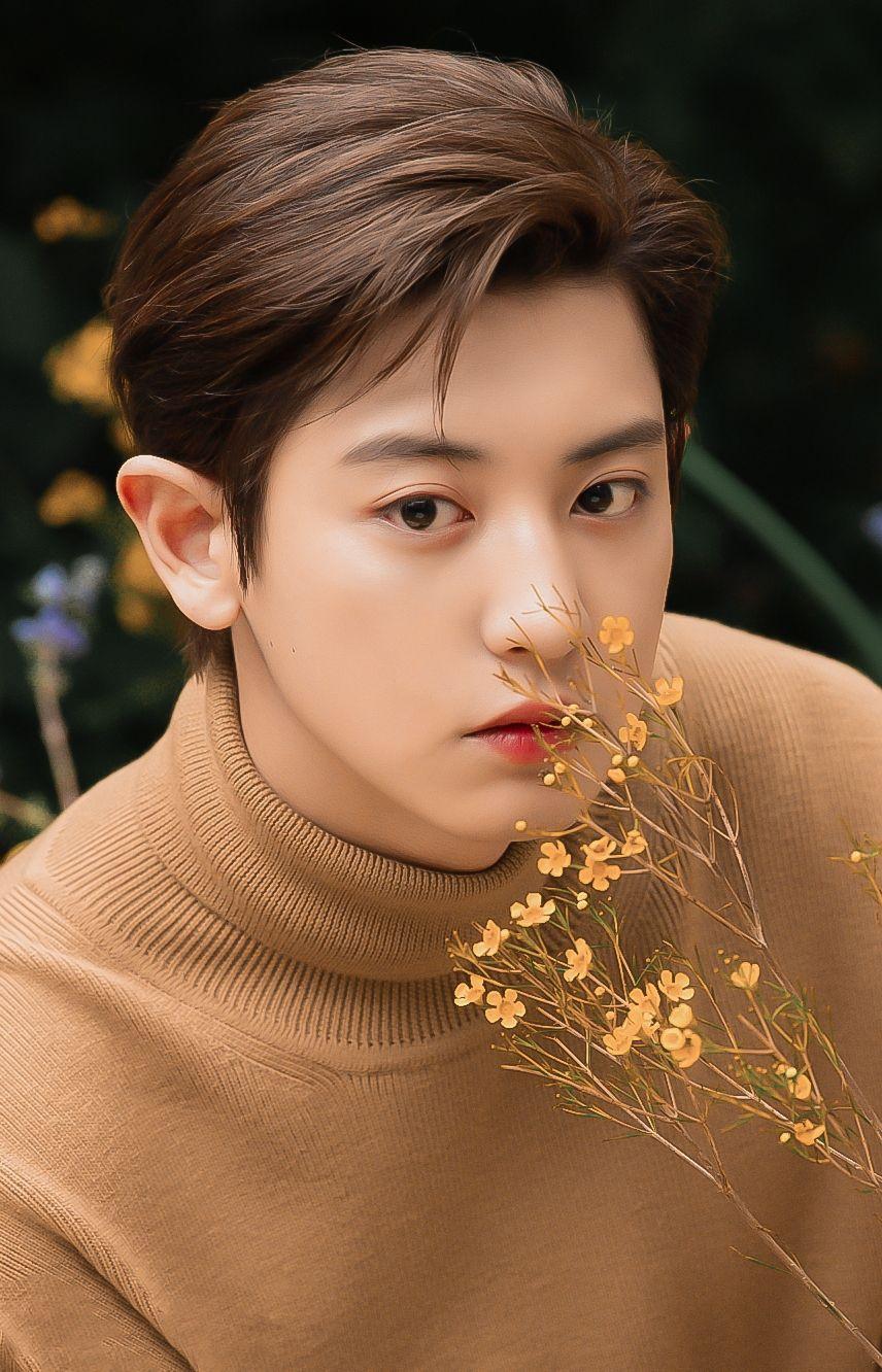 朴灿烈有哪些超级好看的照片毫不掩饰我就是想收图