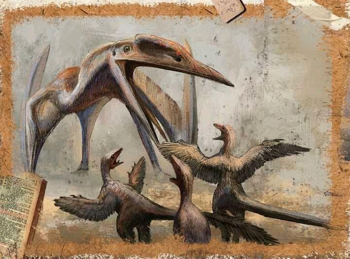 阿尔萨斯肉丸 的想法: 〔猛禽〕一脉相承 驰龙类的英文名字"ra