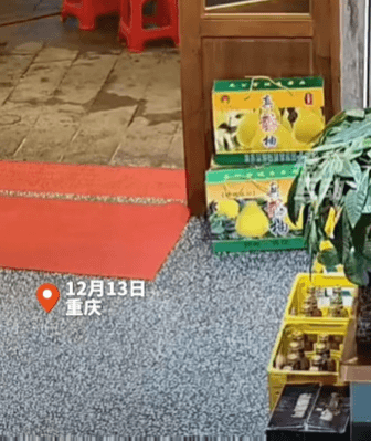 餐馆老板捡了一只“招财猫”，准点上班还任客人摸？网友：喷不了，这种屎黄色的猫最招财！ - 知乎