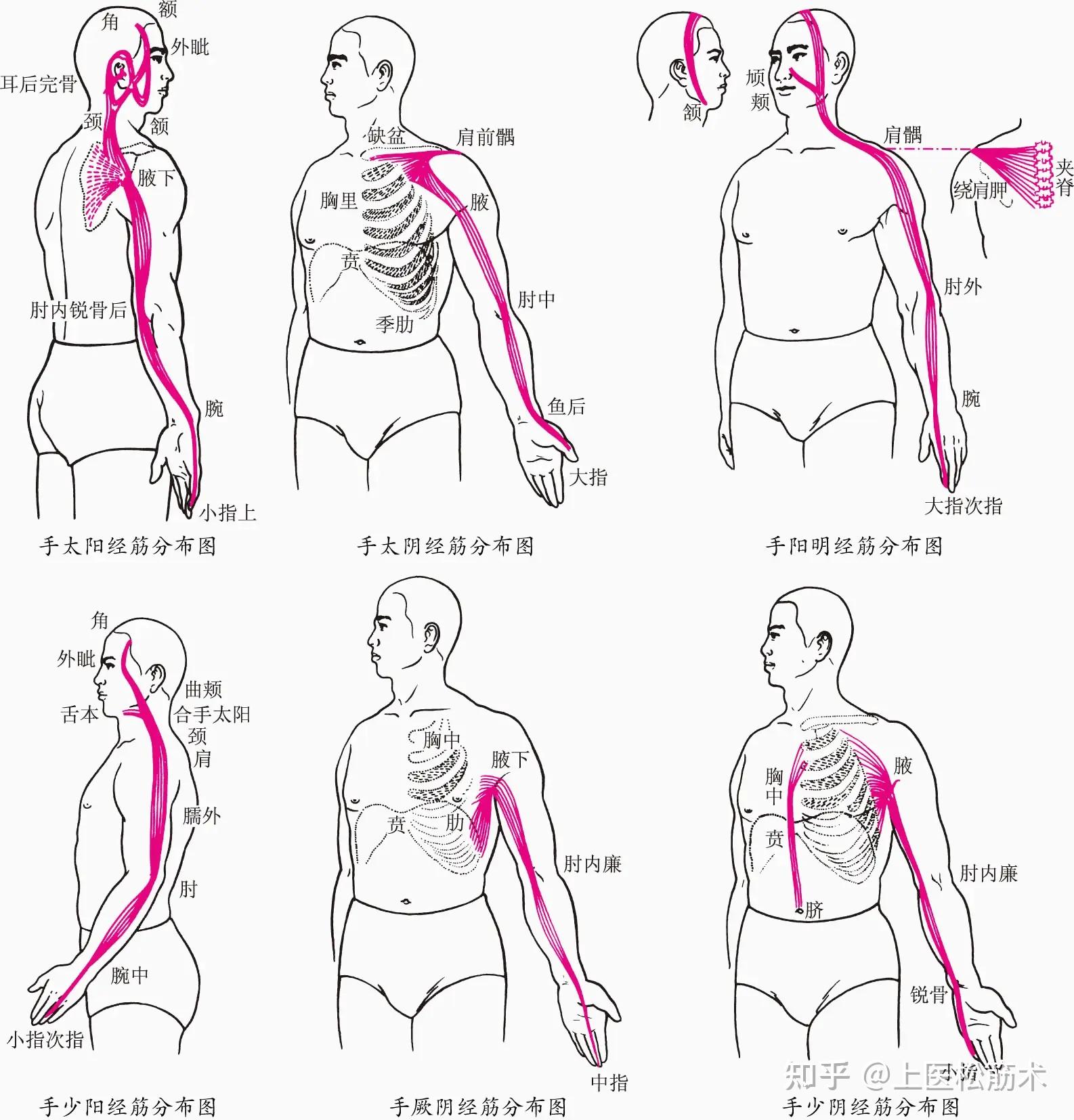 中国的经筋疗法概述