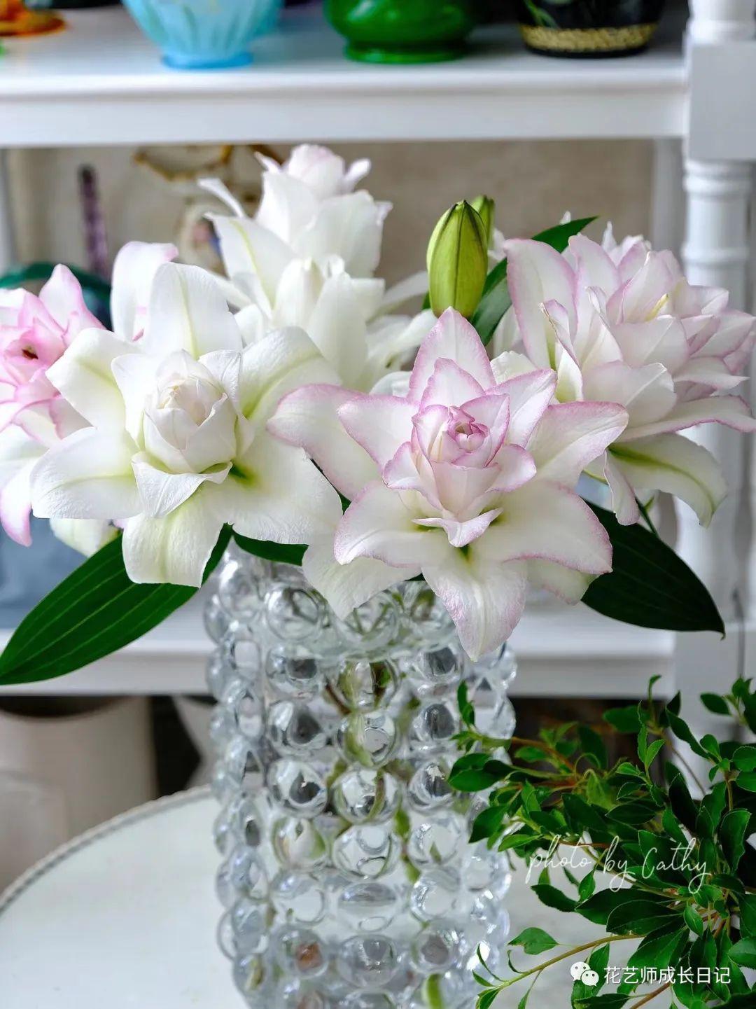 13 | 冰美人重瓣百合,重瓣百合中的爱马仕!