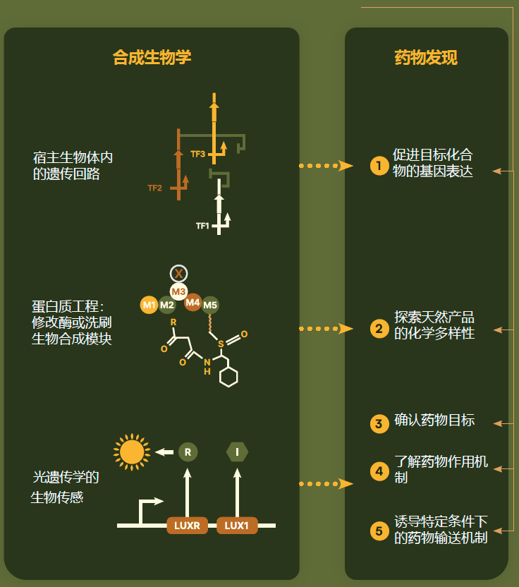 意思是的英文__意思是说