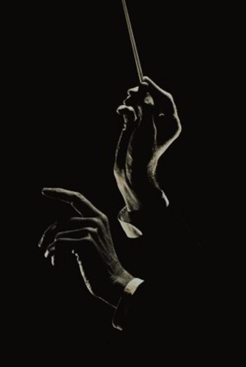 深度解析最适合做老板的类型,ENTP性格天赋及