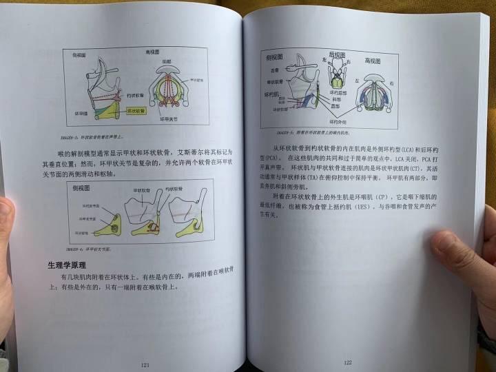 声带闭合理论——EVT理论系统 - 知乎