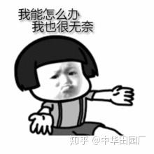 toto马桶对比详解】功能基本上同样的马桶,为什么别人可以比你少花3000