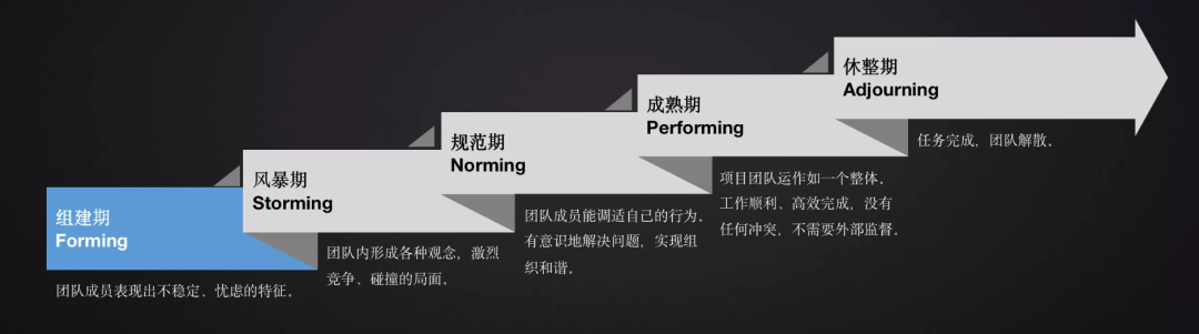 首先,参考经典的塔克曼团队发展阶段模型,我们可以很清晰地看到团队