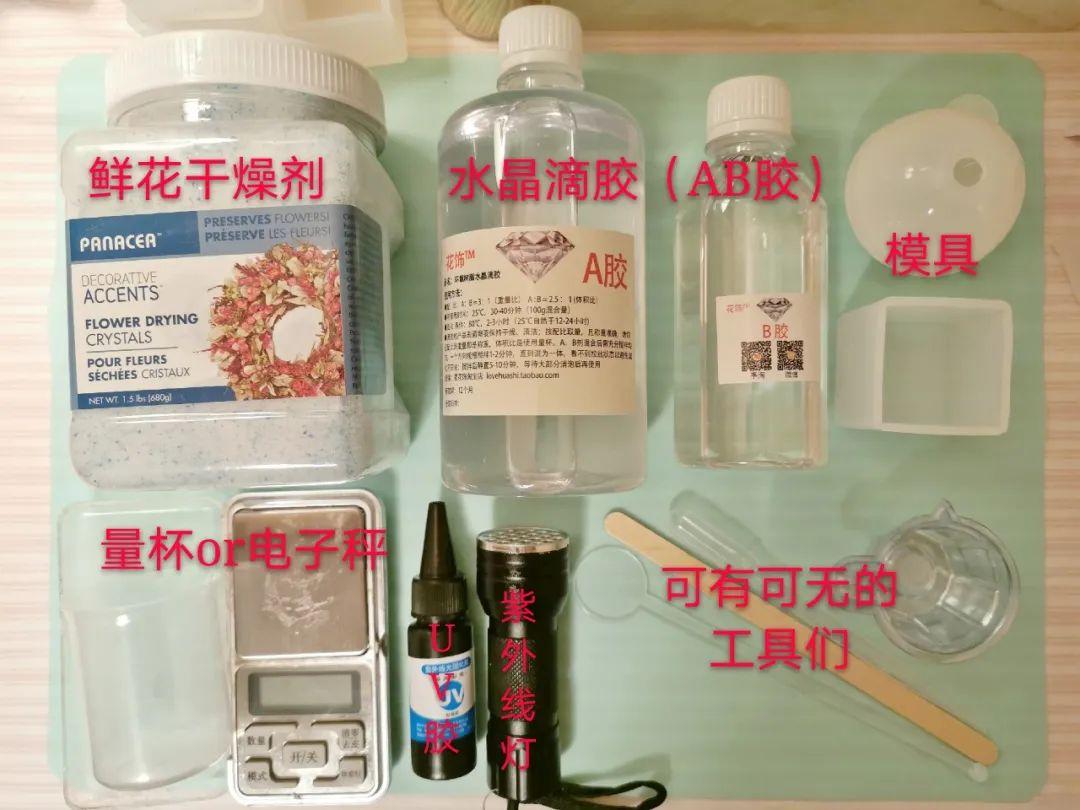 春天封印术!滴胶植物标本制作教程 - 知乎