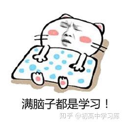 态度的英文是什么 v2-37357eb162dd9c08b6f43d6cd65cfca3_b.jpg