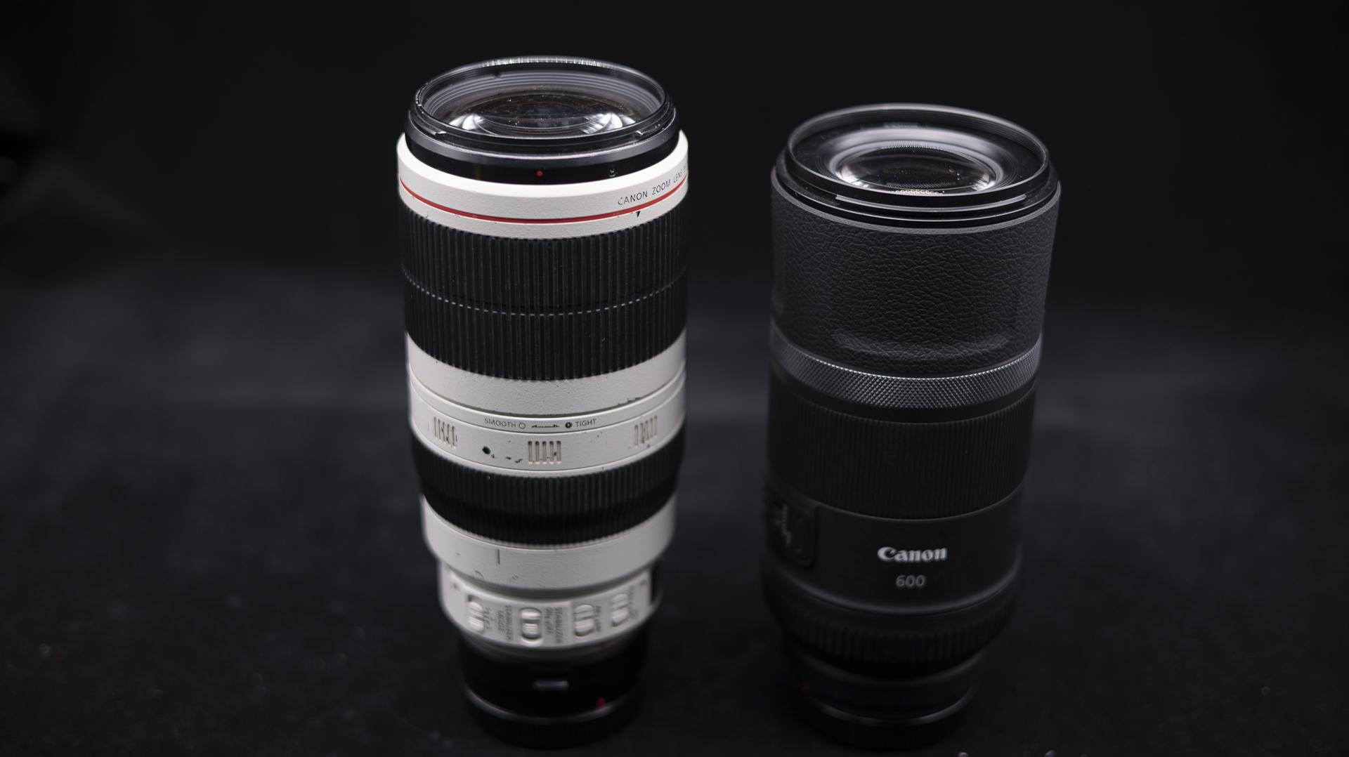 穷人的远摄定焦rf600mmf11isstm优劣分析及照片视频