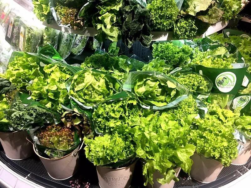 永辉业态进化之道:今天的精标店会是明天的