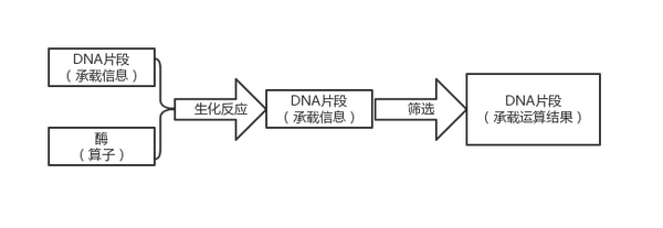 知乎专栏