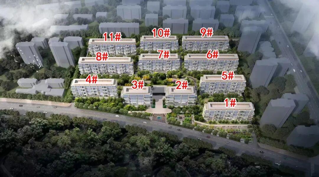 绿城首个四代宅！最大户型达266平米！ - 知乎