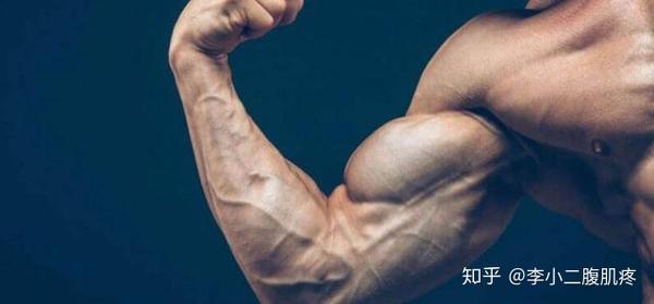 健身臂围超40cm 是这样训练的 知乎