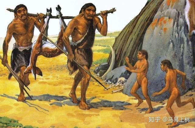 南方古猿时期图片