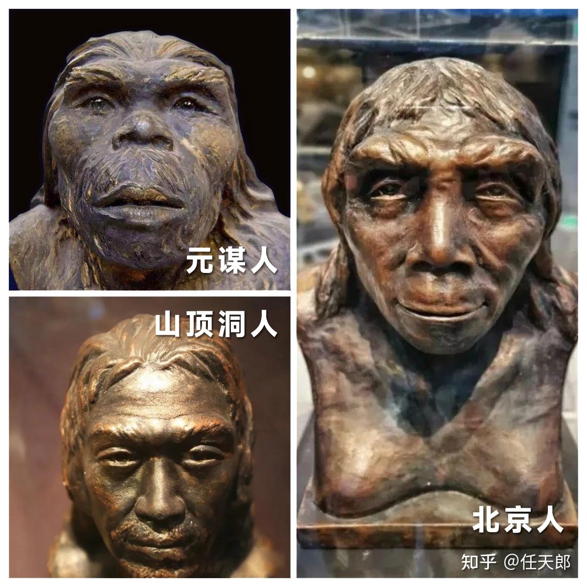 人类到底是起源于东亚还是非洲? - 知乎